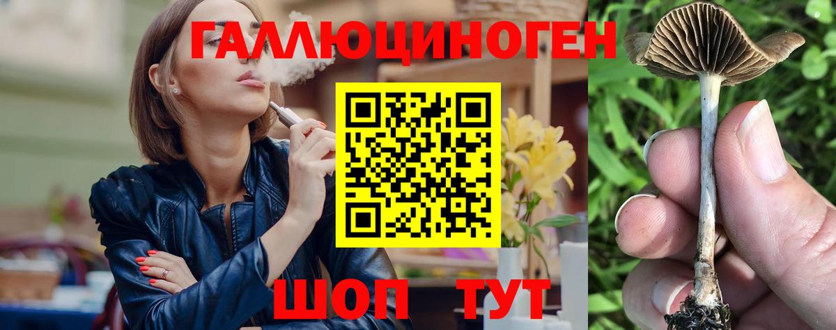 Псилоцибиновые грибы мицелий  Вход с VPN  Новороссийск 