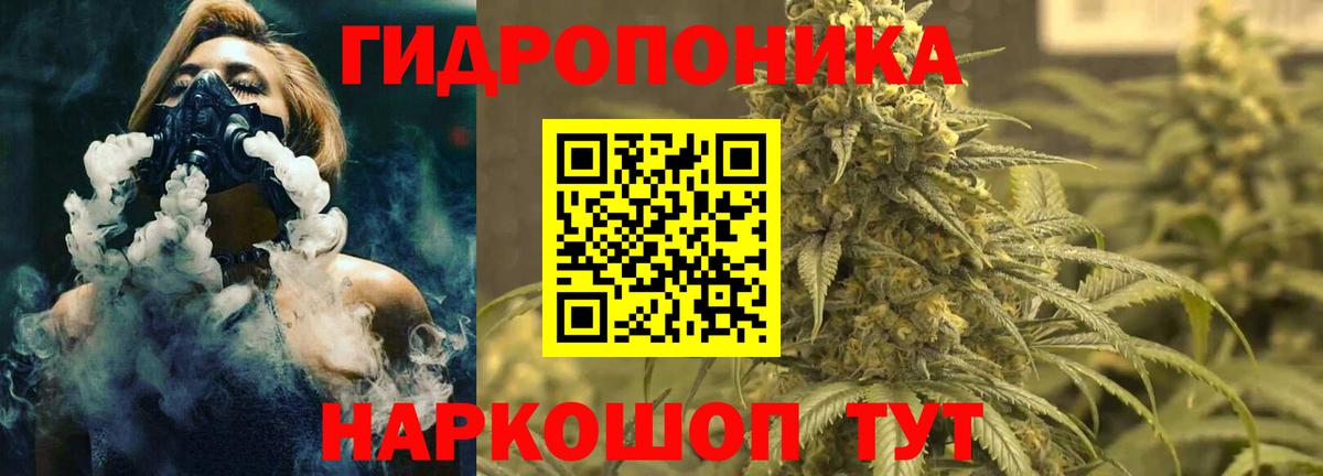 Конопля конопля  Бошки Шишки план  Бошки марихуана сатива  Вход с VPN  Новороссийск 